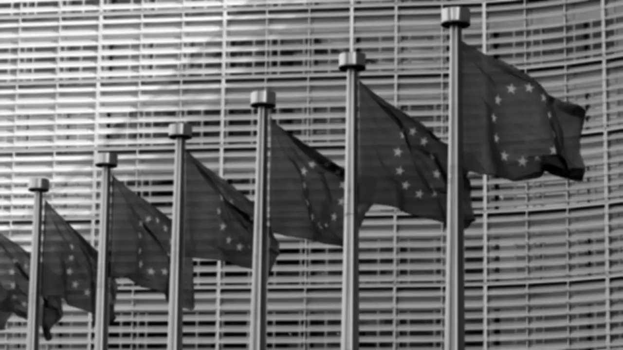 A row of European Union flags
